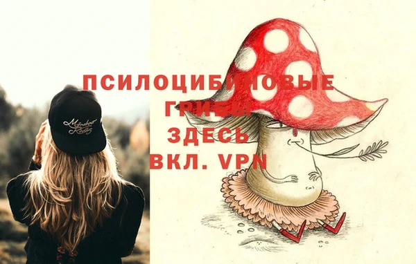 бутират Алзамай
