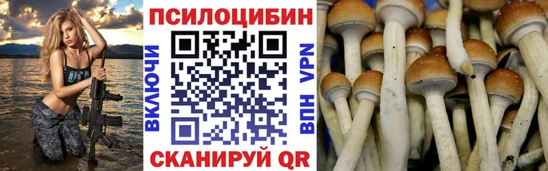 Псилоцибиновые грибы MAGIC MUSHROOMS  как найти   Жирновск 